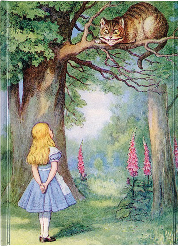Notizbuch A5 Alice and the Cat LINIERT