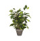 Kunstpflanze Ficus grün H:40 Topf