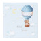 Babyalbum 30x31, Balloon Boy